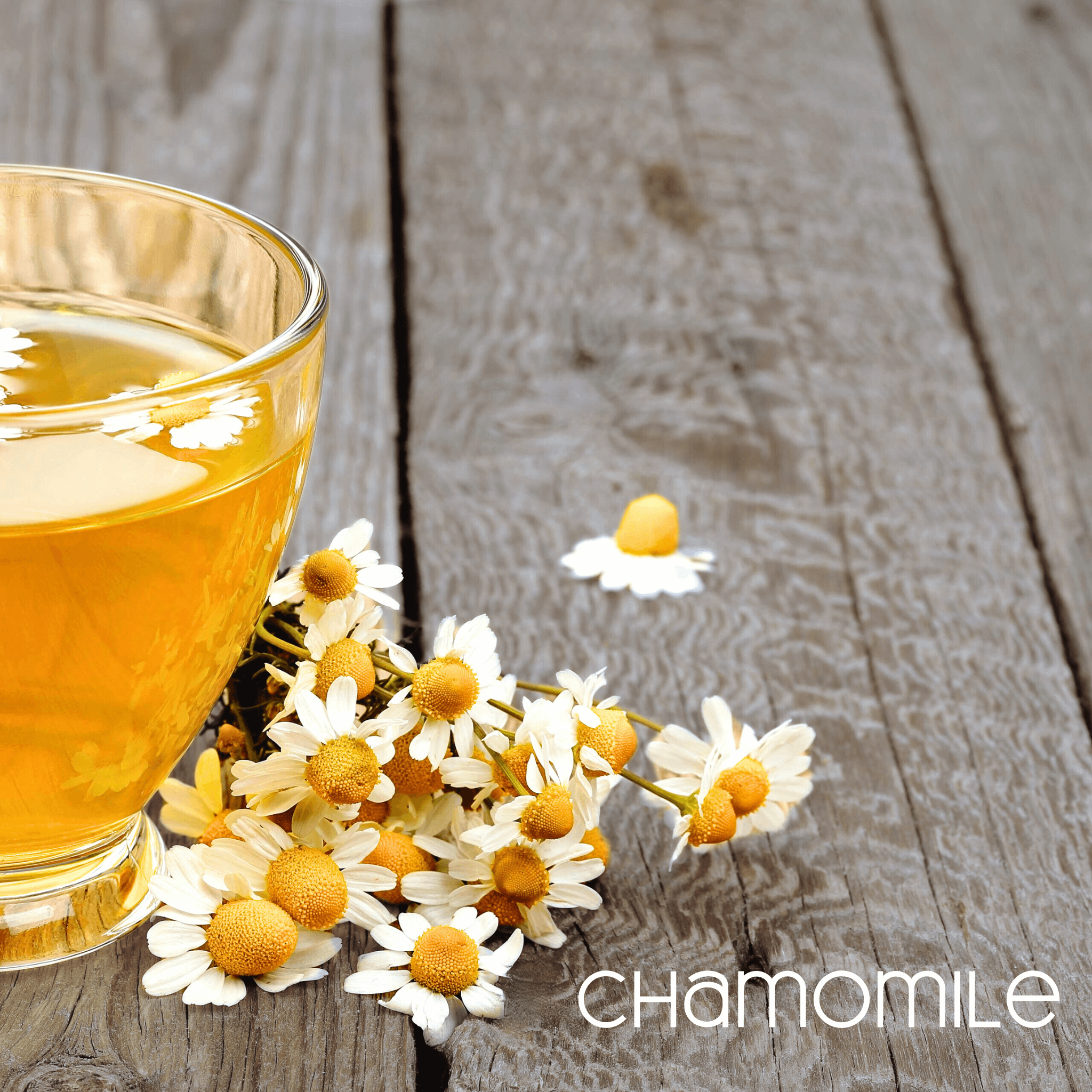 A sprig of Chamomile flowers and glass of Chamomile tea shows off ingredients of “Kindle”, an energizing mat refresh spray.
