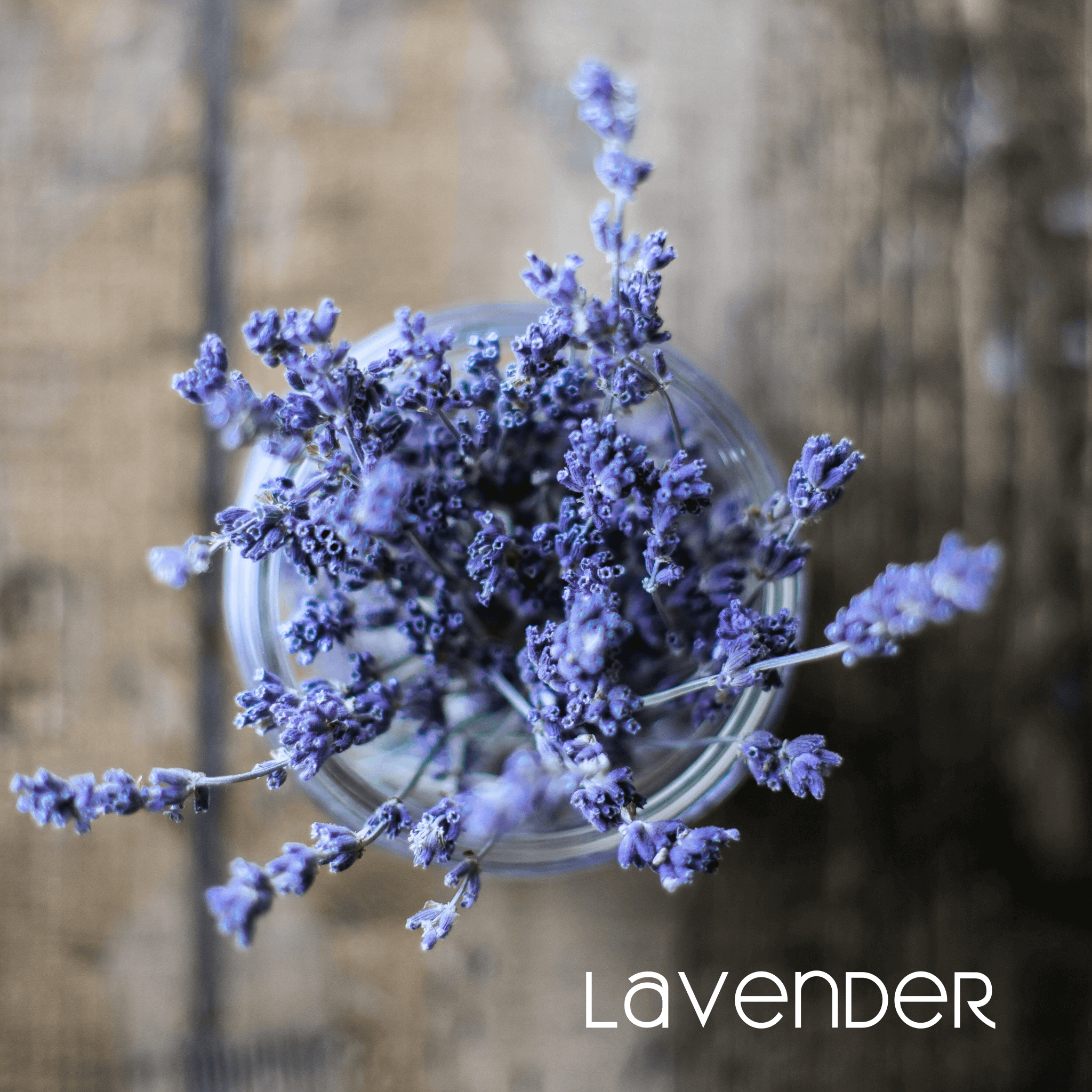 Purple lavender on a wood deck shows one of the ingredients of "Kindle", an energizing mat refresh spray.
