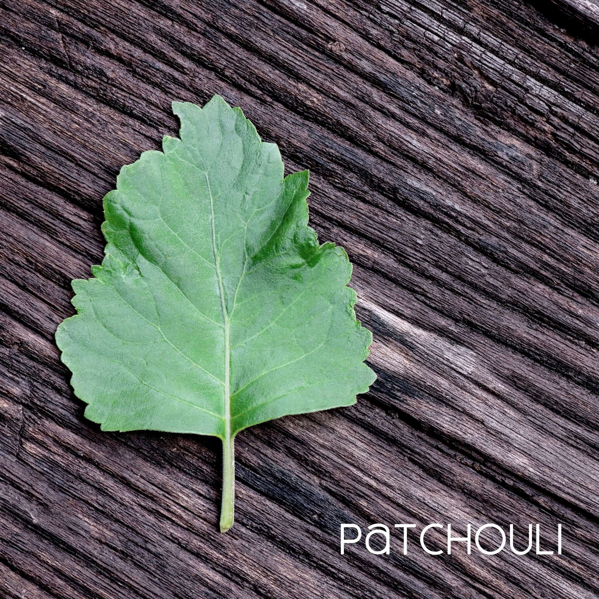 An emerald green patchouli leaf shows off one of the ingredients of "Kindle", an energizing mat refresh spray.